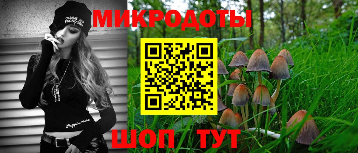 Галлюциногенные грибы Psilocybe  Вход с VPN  Нальчик 